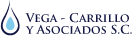 Vega Carrillo y Asociados