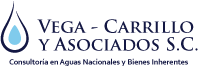 Vega Carrillo y Asociados